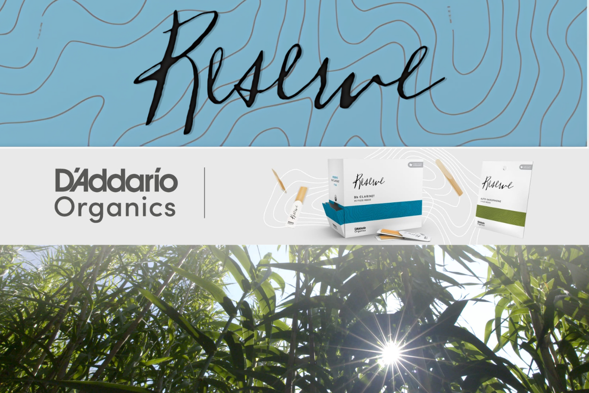 D'addario Reserve