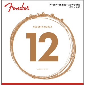 Juego Fender Acústica Phosphor Bronze 60-L (012-053)