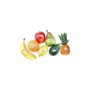 Fruit Shaker Rhythm Tech Naranja RT2053