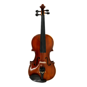 Violín 4/4 Gaudieri HD-V01