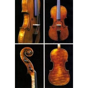 Viola Jay Haide Stradivari Antique 16