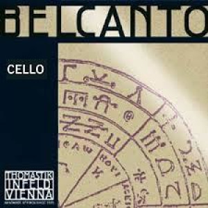 Cuerda 2ª Cello Thomastik Belcanto BC-27