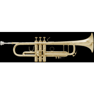Trompeta Bach Stradivarius LR-180/43 Goldmessing