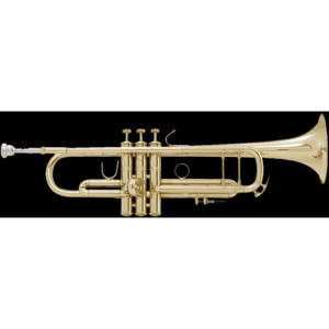 Trompeta Bach Stradivarius LT-180/43 Goldmessing