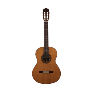 Guitarra Clásica Altamira N300+
