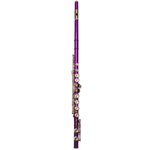 Flauta Travesera Taylor Collins TCFL-538PR Platos cerrados Púrpura